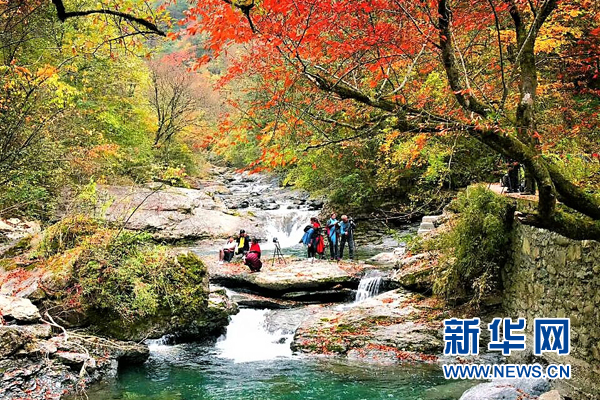 游五彩大巴山 赏缤纷秋叶