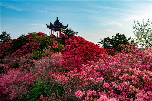 【OK】【湖北】湖北龟峰山景区“五一”小长假首日运行安全有序