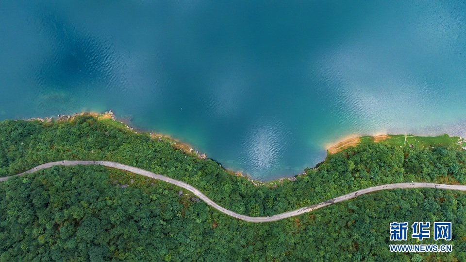 大山深处的“绿色水库”