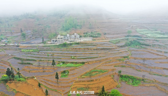 （要闻）大方县千方百计助农增收巩固脱贫攻坚成果