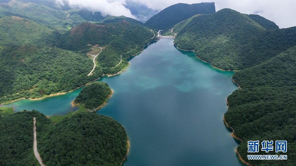 大山深处的“绿色水库”