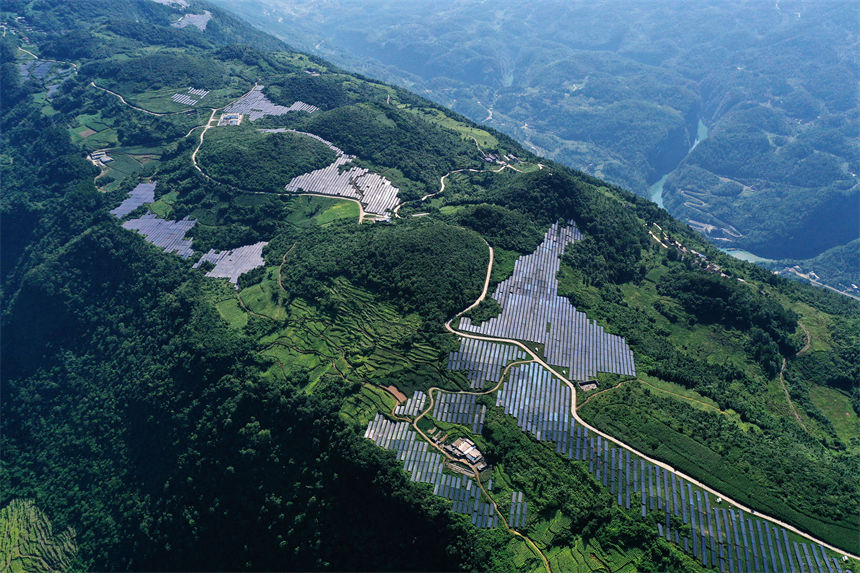 重庆黔江：高山“光伏梯田”美如画