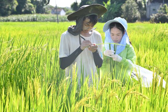 这个暑假怎么过？ 跟着导师下稻田