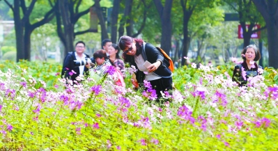 （旅游图文）南京玄武湖情侣园美不胜收 市民纷纷拍照留念