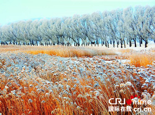 供稿已过【龙游天下轮播图】11月1日起五大连池风景区免费游正式开启