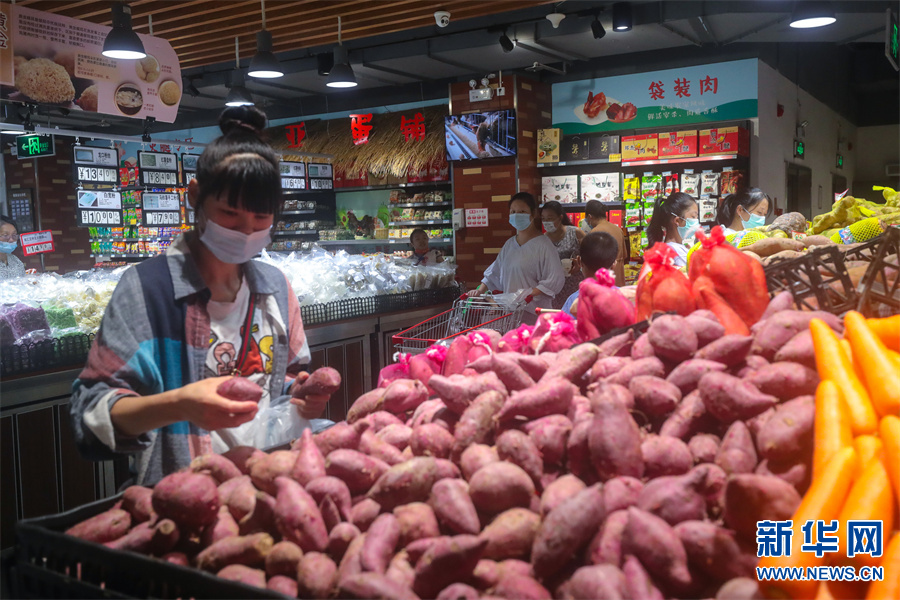 信阳光山：保障“菜篮子”价稳量足