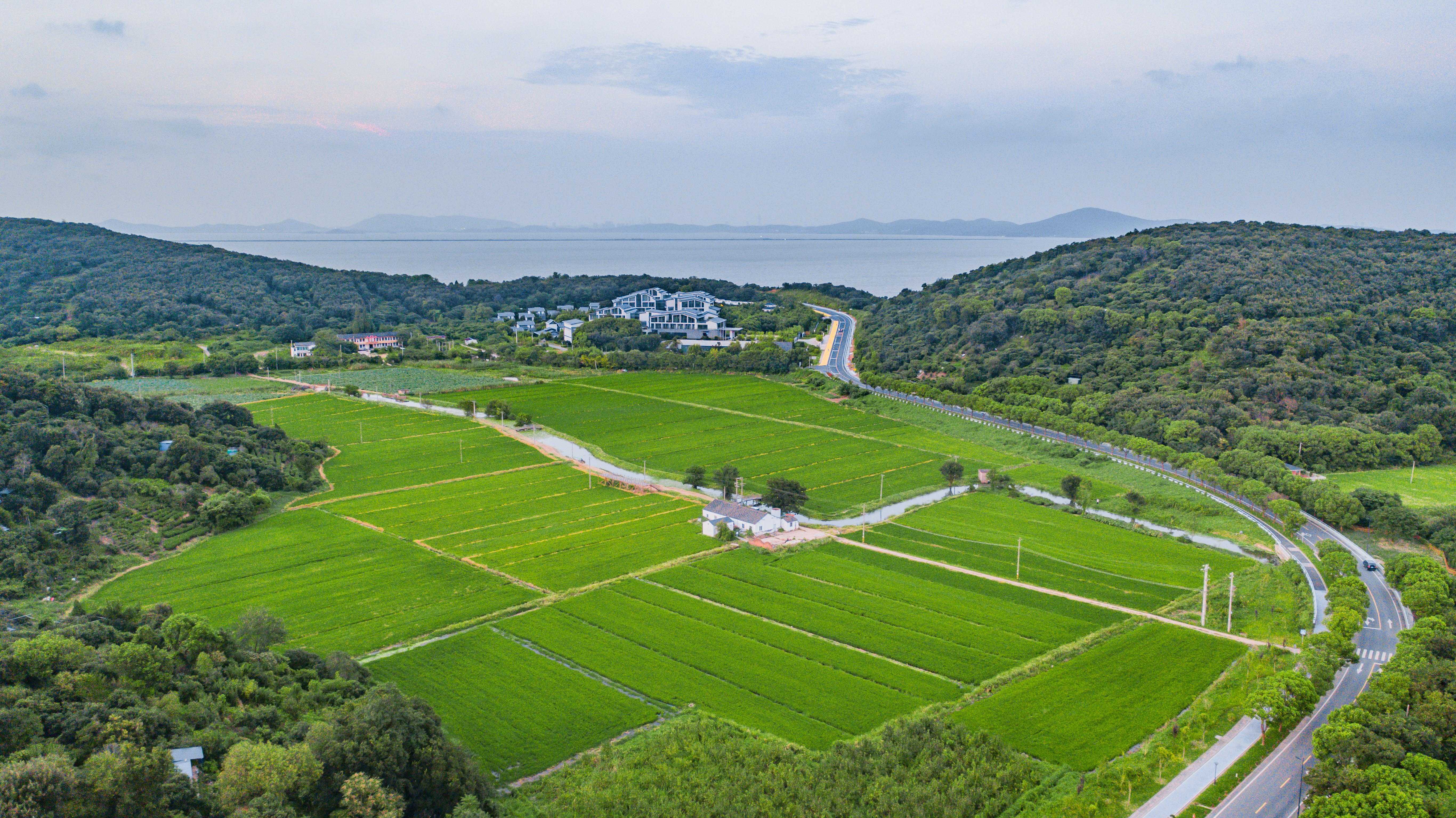 无锡马山：湖光山色四面景 群山如黛绿如蓝