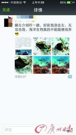 网络捐款未用完女儿去世 男子晒出国游照激起波澜