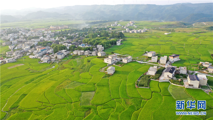 航拍贵州花溪高坡美丽田园