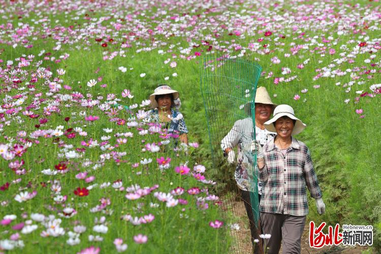 河北张家口：“农旅”融合绘就美丽画卷