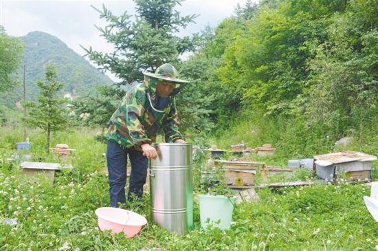 （转载）宝鸡蜂蜜：流传五千年的甜蜜芬芳