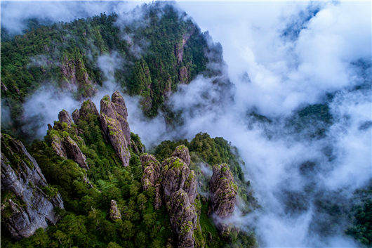 【湖北】【供稿】湖北神农架景区2019旅游推介会在京举办