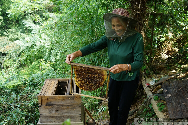 广西桂林：农旅融合兴产业 拓宽瑶乡致富路