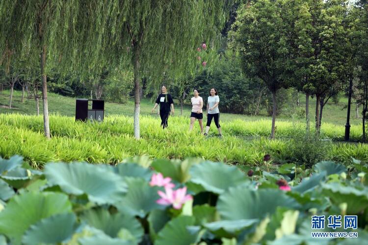 河北河间：建设城市游园 促进生态发展