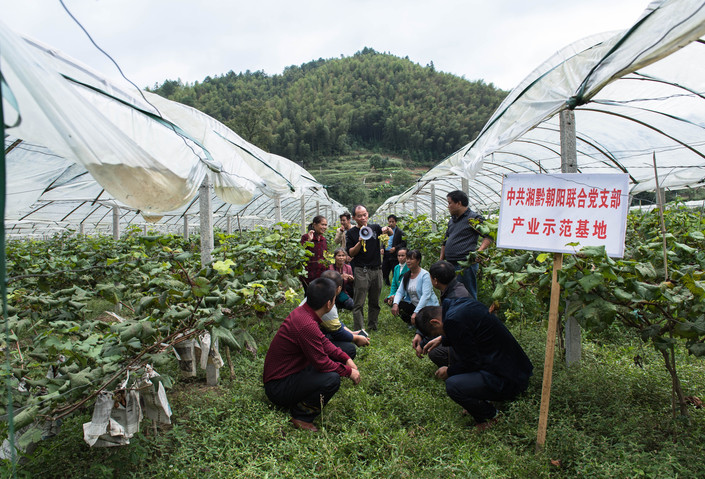 图片默认标题_fororder_总支书记吴宜权在带领示范户培训技术