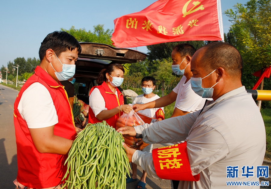 开封尉氏：这里的“菜篮子”很丰富