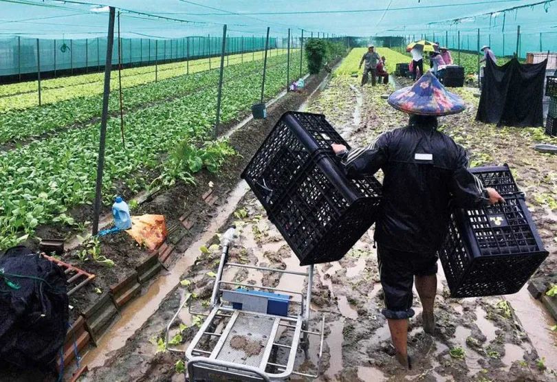 涨涨涨！台湾痛苦指数创8年新高