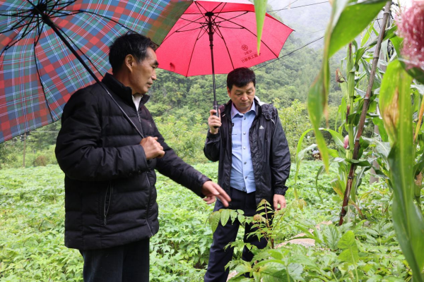 【原创】重庆城口县公安局余新洪：警民携手守护生态 同心打造和谐社会_fororder_2