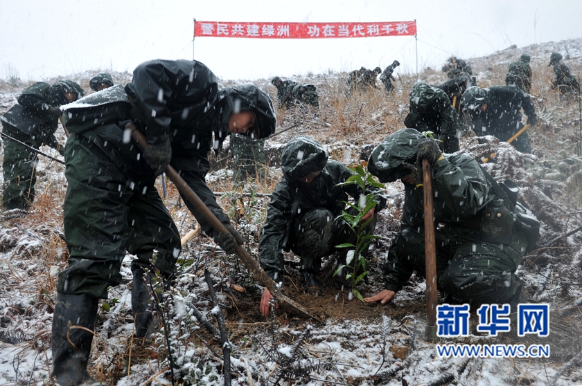 【网络媒体走转改】深山住一周 千名武警将种下70万株树苗