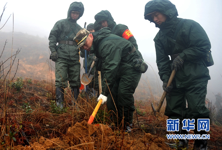 【网络媒体走转改】深山住一周 千名武警将种下70万株树苗