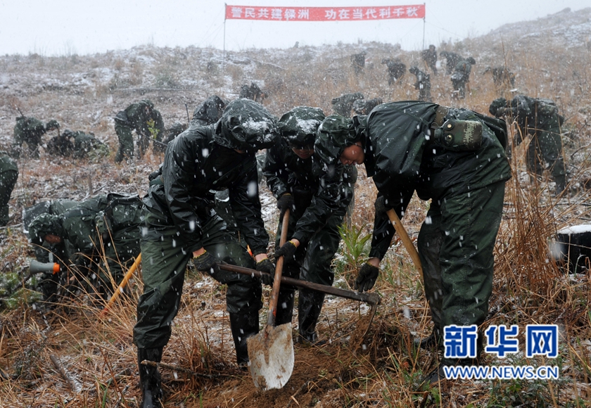 【网络媒体走转改】深山住一周 千名武警将种下70万株树苗