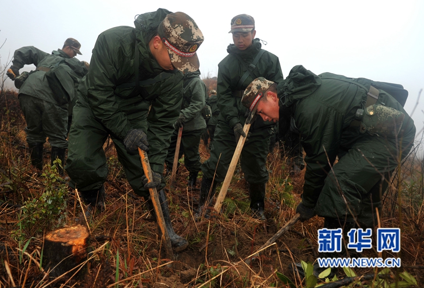 【网络媒体走转改】深山住一周 千名武警将种下70万株树苗