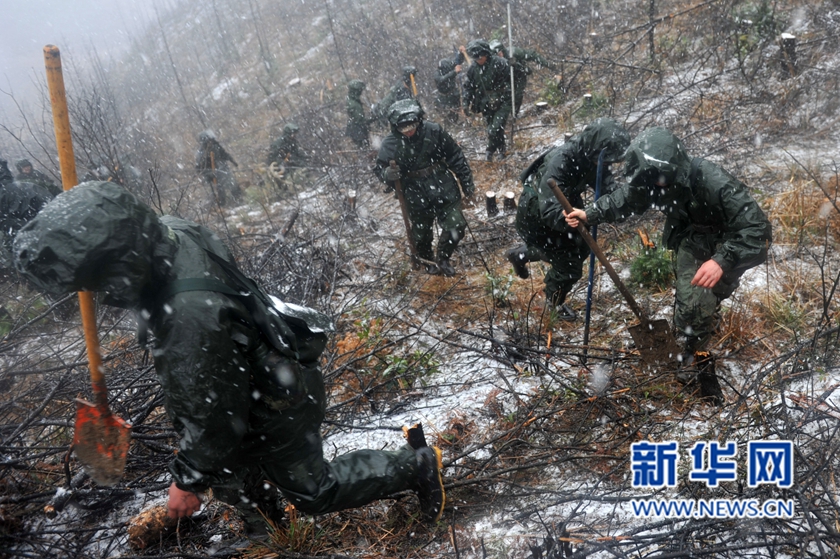 【网络媒体走转改】深山住一周 千名武警将种下70万株树苗