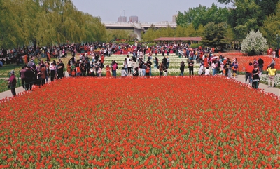 接待游客89.43万人次 沈阳文旅经济加速复苏