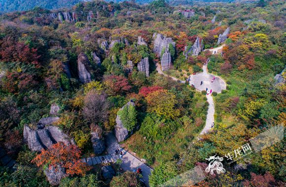 【渝情渝景】南川：山王坪生态公园秋色迷人