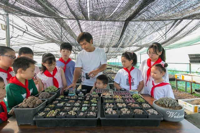 江苏如皋：生石花开出致富果