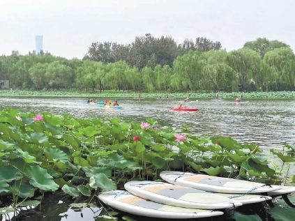 奥运夺金带火小众水上运动