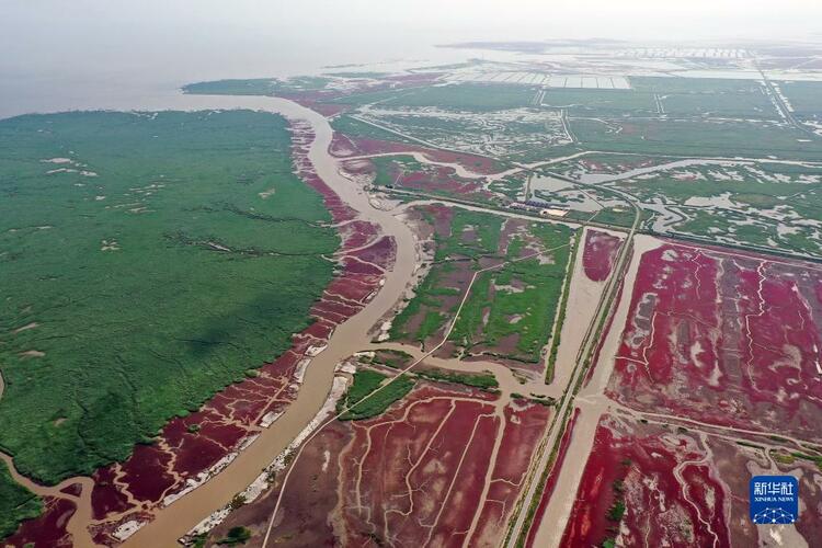 大河奔流，生机无限——辽河生态蝶变启示录_fororder_辽河10