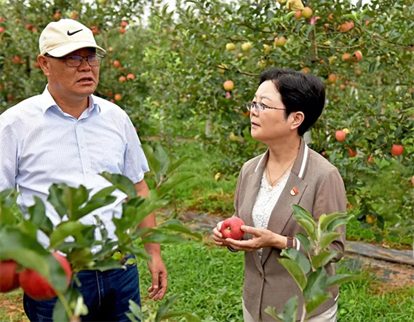 陕西省委农办主任、陕西省农业农村厅厅长孙矿玲赴渭南市白水县调研_fororder_图片4