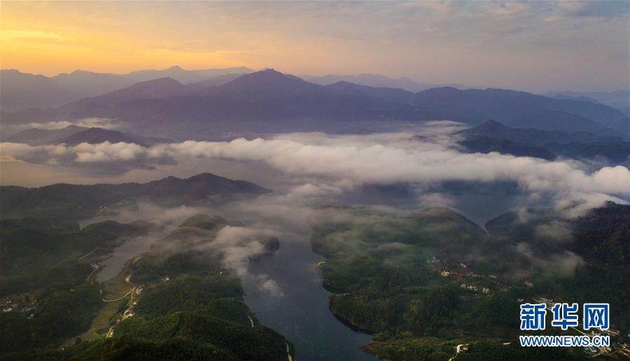 大别山的竹海与云海