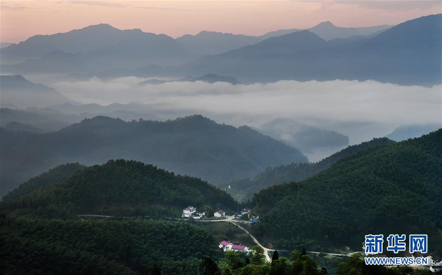 大别山的竹海与云海