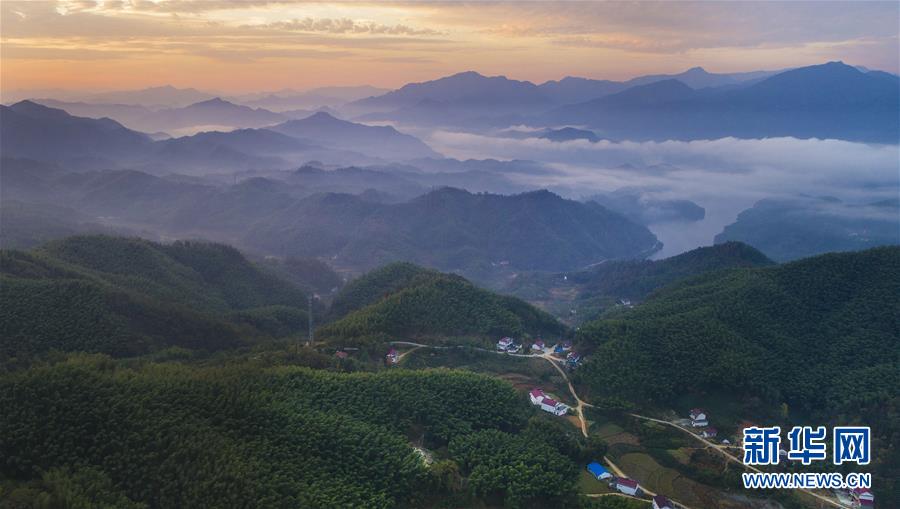 大别山的竹海与云海