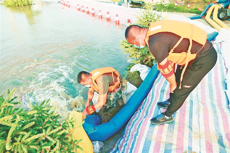 佳木斯：同江备足物资坚守堤坝 确保洪峰平稳过境