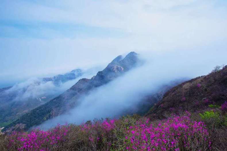 大连大黑山现平流雾景观