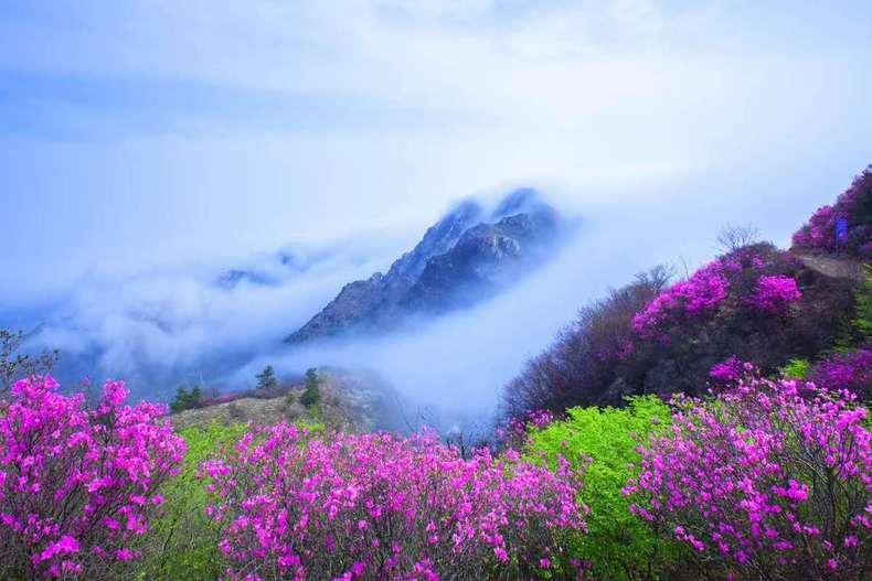 大连大黑山现平流雾景观