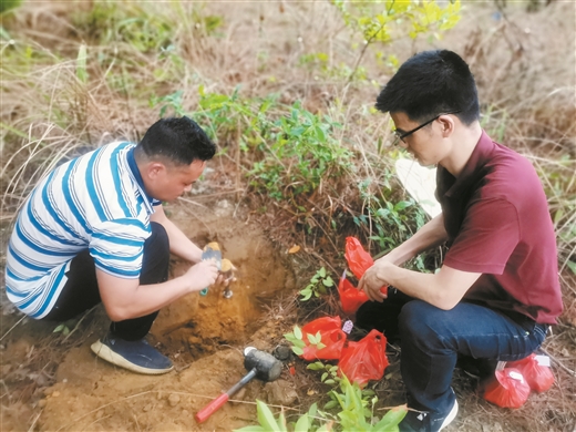 广西搭建林业生产与科技创新精准对接之桥