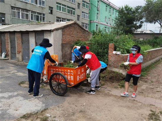 沈阳辽中区蒲西街道创卫突击队：冲锋在前  彰显“尖刀”力量_fororder_辽中2