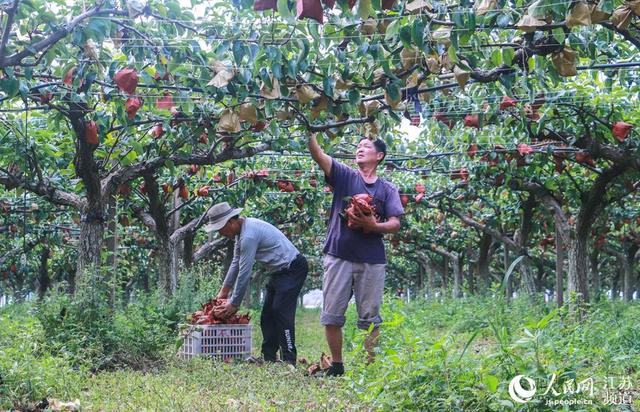 江苏：爱心助农抗疫情