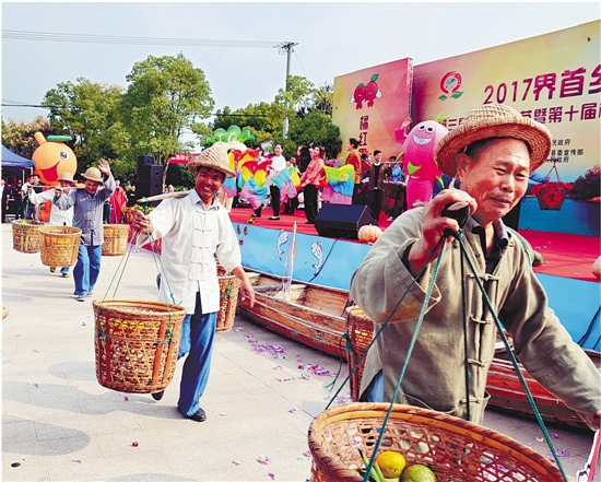 “滨湖小镇”界首：万亩柑橘艳枝头，民居民宿占鳌头