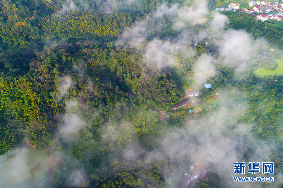 湖北咸宁：云雾绕潜山