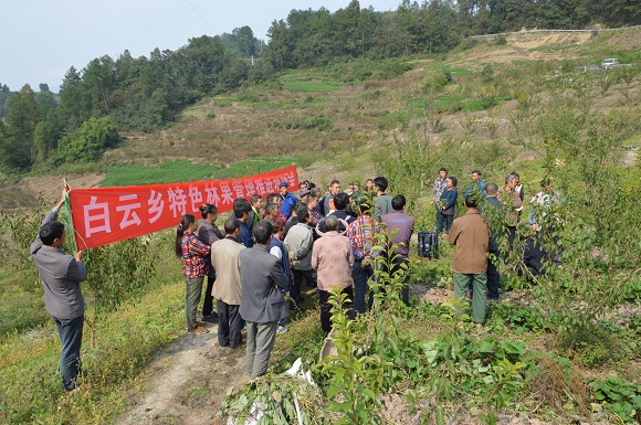 【区县联动】【武隆】武隆白云乡:开展特色林果“田间课堂”