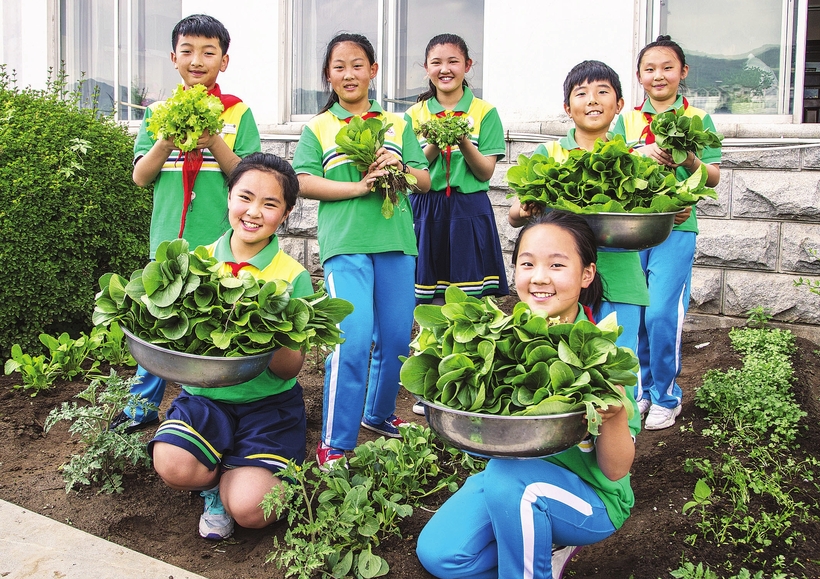 通化集安市实验小学创建农作物种植园