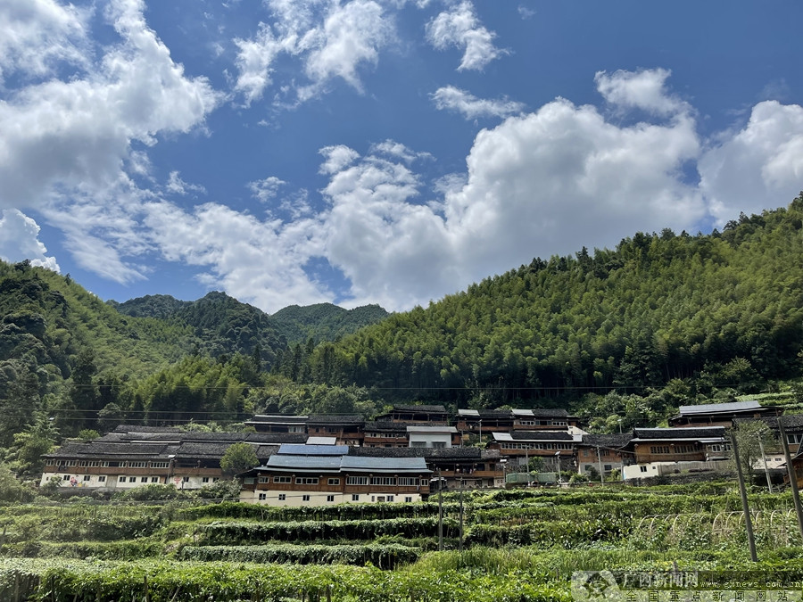 广西桂林：农旅融合兴产业 拓宽瑶乡致富路