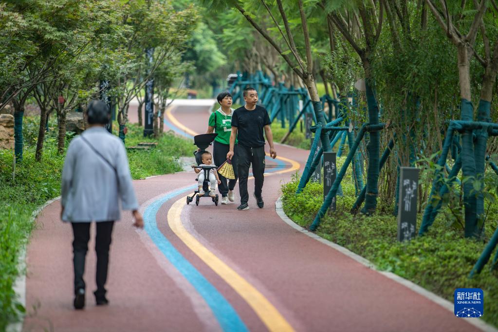 【城市远洋带图】重庆南岸：苦竹溪生态修复显成效