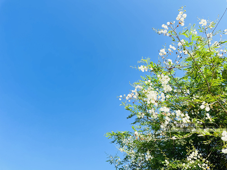 广西天等县若兰水库群山揽水 秋景如画