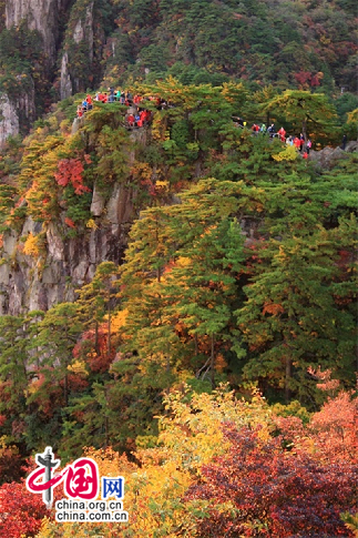 黄山：临秋登高 俯察五色仰观白云(图)